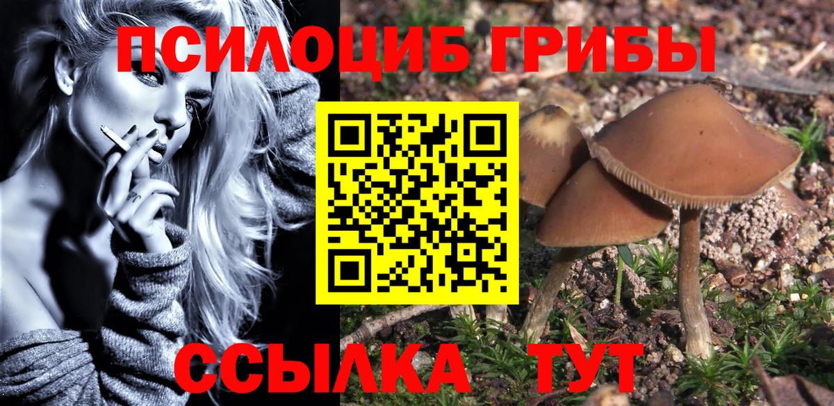 Валуйки  наркотики  Вход с VPN  Псилоцибиновые грибы MAGIC MUSHROOMS 