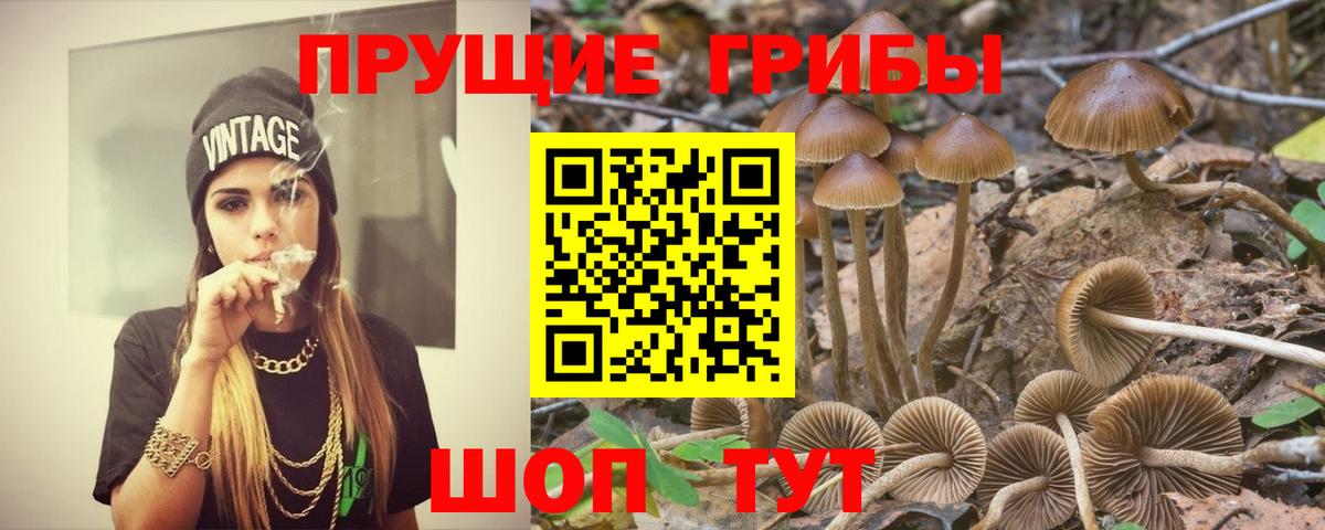 Псилоцибиновые грибы MAGIC MUSHROOMS Валуйки
